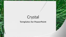  Presentation with green and purple mardi gras - Audience pleasing slide set consisting of blank on the green grass backdrop and a white colored foreground