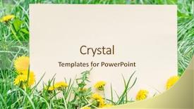  Presentation with interior design yellow and green - Presentation with blank on the green grass background and a  colored foreground