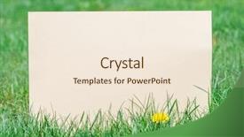  Presentation with green - Amazing slide set having blank on the green grass backdrop and a  colored foreground