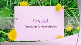  Presentation with yellow paper - PPT layouts with blank on the green grass background and a  colored foreground