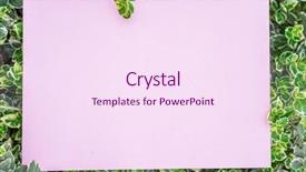  Presentation with green - Audience pleasing slide deck consisting of blank on the green grass backdrop and a  colored foreground