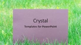  Presentation with green gram - Audience pleasing slide set consisting of blank on the green grass backdrop and a light gray colored foreground