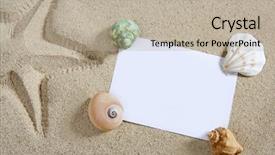  Presentation with shells - Colorful slide deck enhanced with blank paper on white sand backdrop and a mint green colored foreground