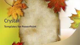  Presentation with scroll paper - PPT theme having autumn unfocused background - blank paper scroll with maple background and a yellow colored foreground