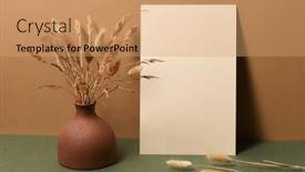  Presentation with dry - Colorful PPT theme enhanced with blank-paper-with-dry-branches backdrop and a coral colored foreground