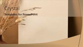  Presentation with dry - PPT theme featuring blank-paper-with-dry-branches background and a lemonade colored foreground