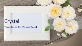  Presentation with roses - Presentation theme enhanced with blank photo frame and white background and a sky blue colored foreground