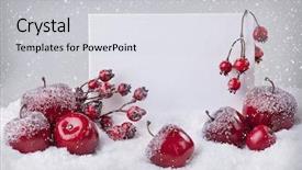  Presentation with purple festive christmas red - Audience pleasing presentation design consisting of blank sign with red christmas backdrop and a light gray colored foreground