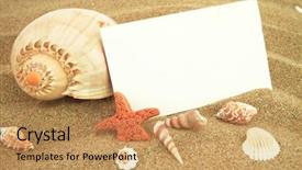  Presentation with summer - Theme enhanced with blank spiral border - summer card background and a coral colored foreground