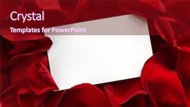  Presentation with romantic gift - Theme consisting of blank white gift card background and a wine colored foreground