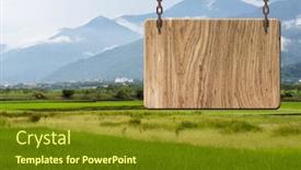  Presentation with paddy field - Presentation theme featuring blank wooden sign on field of paddy rice farm concept of rural idyllic tranquility etc background and a tawny brown colored foreground