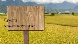  Presentation with paddy field - Beautiful slide deck featuring blank wooden sign on field of paddy farm concept of rural idyllic tranquility etc backdrop and a gold colored foreground