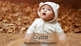  Presentation with nature big tree - Audience pleasing slides consisting of blanket on the ground backdrop and a coral colored foreground