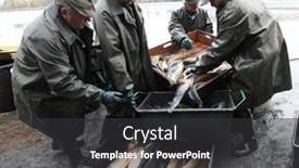  Presentation with dating - 