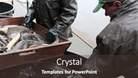  Presentation with dating - 