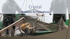  Presentation with dating - 