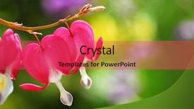  Presentation with heart medic - Presentation design with bleeding heart background and a red colored foreground