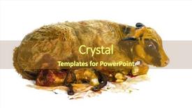  Presentation with blue - PPT layouts enhanced with bleu yellow - belgian blue calf 3 minutes background and a tawny brown colored foreground