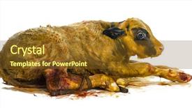  Presentation with blue - Amazing slide deck having bleu yellow - belgian blue calf 3 minutes backdrop and a tawny brown colored foreground