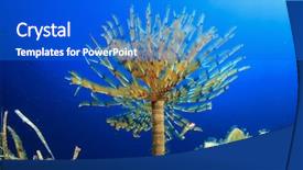  Presentation with worm - PPT theme featuring bleu yellow - tube worm underwater background and a cobalt blue colored foreground