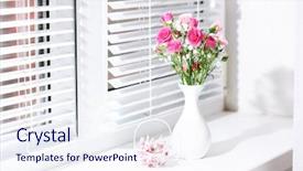  Presentation with pink roses - PPT layouts having love blind - bouquet of pink roses background and a sky blue colored foreground