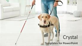  Presentation with blind - Theme having blind man with guide dog background and a sky blue colored foreground