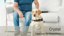  Presentation with blind stick - Cool new slide deck with blind man with guide dog backdrop and a  colored foreground