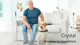  Presentation with guide dog - Beautiful PPT layouts featuring blind man with guide dog backdrop and a light gray colored foreground