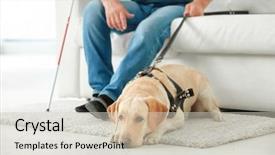  Presentation with guide dog - Slide deck enhanced with blind man with guide dog background and a  colored foreground