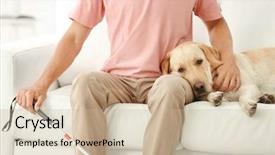  Presentation with guide dog - Beautiful presentation theme featuring blind man with guide dog backdrop and a soft green colored foreground