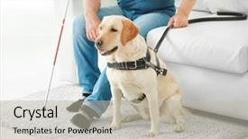  Presentation with blind stick - Slides featuring blind man with guide dog background and a mint green colored foreground