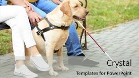 Presentation with man sitting bench - Amazing presentation theme having blind man with guide backdrop and a light gray colored foreground