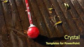  Presentation with cane - Beautiful slide set featuring blind person's white cane backdrop and a wine colored foreground