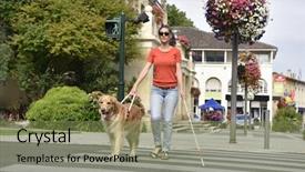 Presentation with guide dog - Cool new theme with blind woman crossing the street backdrop and a seafoam green colored foreground