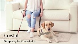  Presentation with guide dog - Colorful theme enhanced with blind woman with guide dog backdrop and a lemonade colored foreground