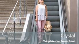  Presentation with guide dog - Colorful slide set enhanced with blind woman with guide dog backdrop and a gray colored foreground