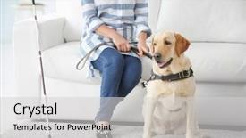  Presentation with guide dog - Cool new presentation theme with blind woman with guide dog backdrop and a  colored foreground