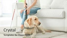  Presentation with guide dog - Audience pleasing PPT layouts consisting of blind woman with guide dog backdrop and a mint green colored foreground