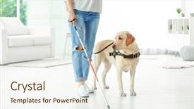  Presentation with guide dog - PPT theme featuring blind woman with guide dog background and a sky blue colored foreground