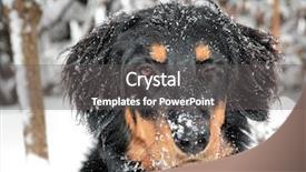  Presentation with puppy - Theme featuring blinking howavart puppy covered with snow background and a gray colored foreground