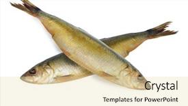  Presentation with background - Cool new PPT theme with nourished - bloater under the white background backdrop and a  colored foreground