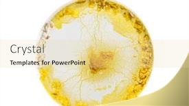  Presentation with plastic - PPT theme featuring blob-in-a-plastic-cercle background and a blonde colored foreground