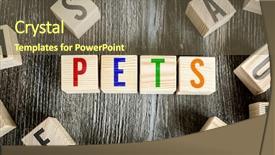  Presentation with pet - Slide set featuring blocks with the text pet background and a tawny brown colored foreground