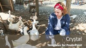 Presentation with farm - Presentation theme consisting of blond-female-farmer-with-bandana background and a tawny brown colored foreground