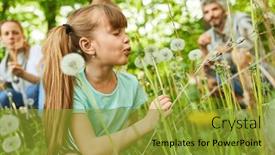  Presentation with dandelion - 