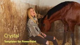  Presentation with straw bale - Slide set with blond woman on an indoor stable with a brown horse on straw bale background and a tawny brown colored foreground