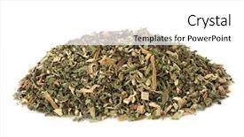  Presentation with nettle - Beautiful PPT theme featuring blood abdominal and menstrual backdrop and a white colored foreground