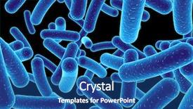 Presentation with bacteria - PPT theme with blood cell - bacteria background and a ocean colored foreground