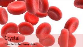  Presentation with blood cell - Presentation theme having blood cell - bloodcells background and a coral colored foreground