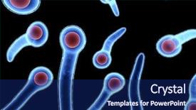  Presentation with tetanus - Cool new presentation theme with blood cell - tetanus bacteria backdrop and a navy blue colored foreground